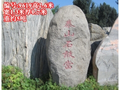 9619