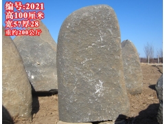 ̡2021