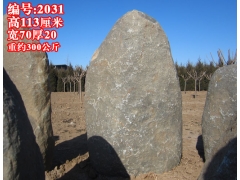 ̡2031