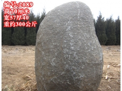 ɶ̩ɽʯ2089
