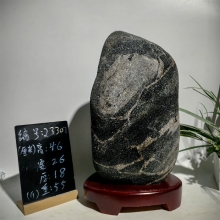 23307