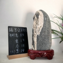 23353