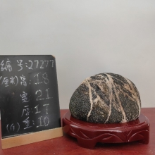 27277